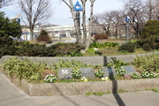 D6abecc7d2539a5d8aa00a549d5410c9 rect