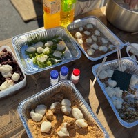 F8738768a36782854c594405af873520 thumb