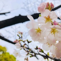 3ab4b97684ed77a237843811bbe654bd thumb