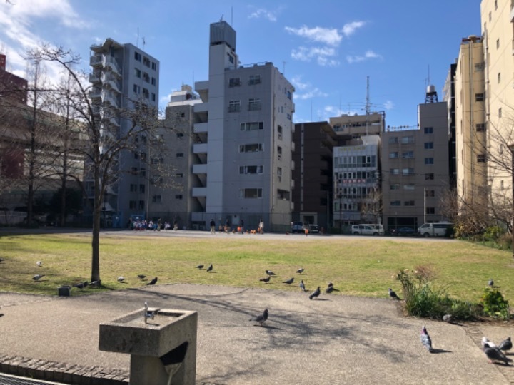 吉浜町公園 コドモト 〜まちの子育て情報サイト〜