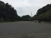 芹ヶ谷公園 コドモト まちの子育て情報サイト
