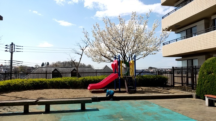 ぱんだ公園 愛称は「パンダ公園」！かわいいパンダの遊具と健康器具がある旭