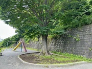 0aa8c5a2521a3d514b19be9302a879c6 rect