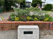 47f8d3cd7d34f0b297dbc73cf69bf37b rect