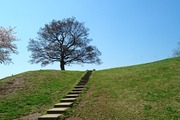 63dc5dbdf5d9d8fb576c8610296f6e17 rect