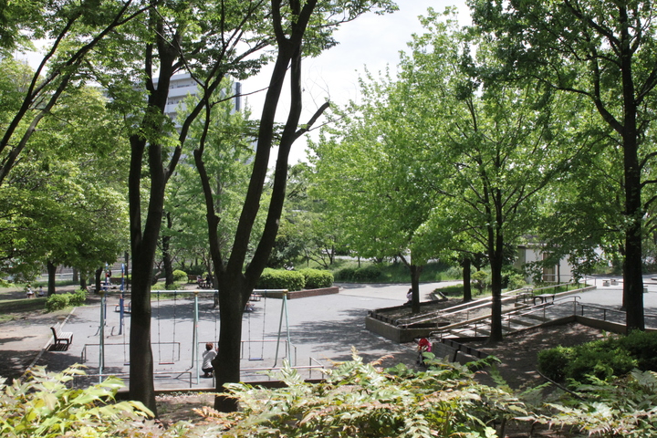 野庭中央公園